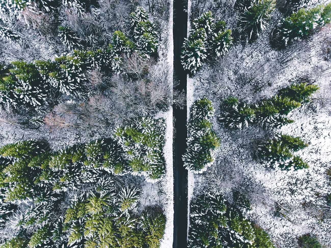 Col du Mont-Noir