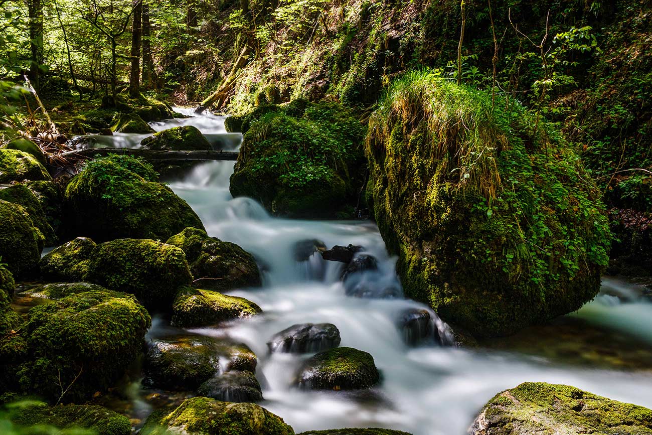Gorges du Bruyant